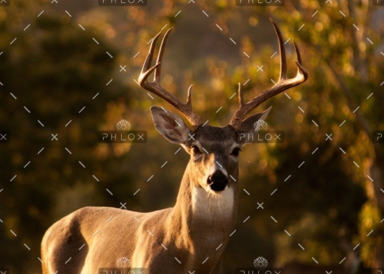 demo-attachment-434-laura-college-190105-unsplash