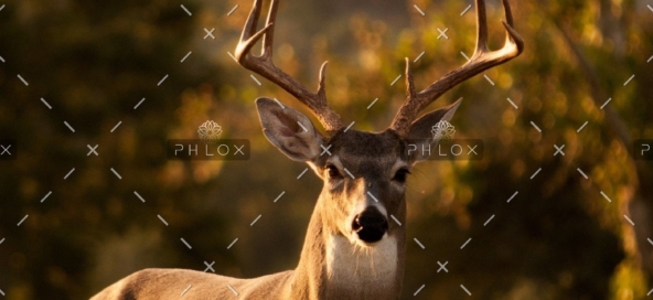 demo-attachment-434-laura-college-190105-unsplash